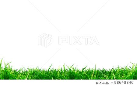 フッター背景素材 (背景透過/png) / 芝生・運動場・野原  98648846