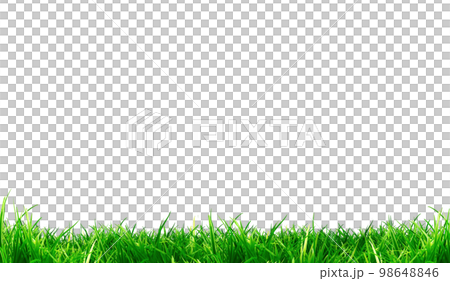 Footer background material (background transparent / png) / lawn / playground / field 98648846