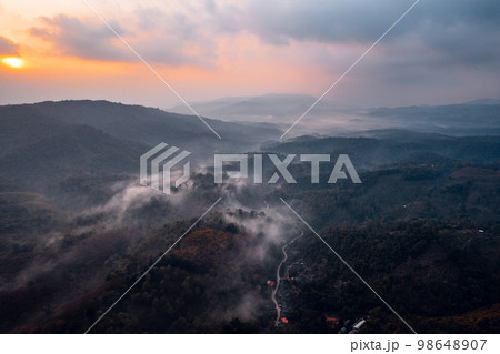 Forest and fog in the morning, high angle view Forest and fog in the morning, high angle view 98648907