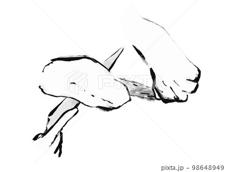 鯛をさばいているの手描き和風イラスト　皮を引く　白黒,モノクロ,単色, ベクター 98648949