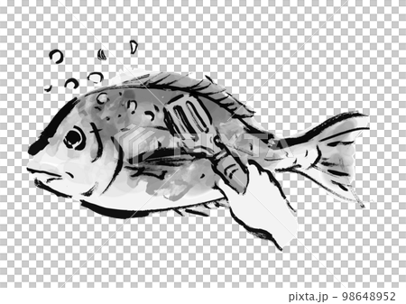 海鯛鱗片黑白手繪日式插圖，單色，單色，矢量 98648952