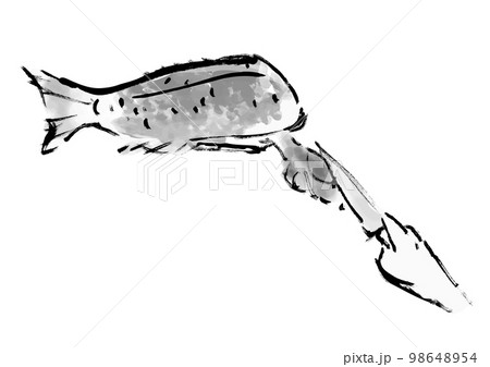 鯛をさばく工程の手描き和風イラスト　内蔵を出す　白黒,モノクロ,単色, ベクター 98648954
