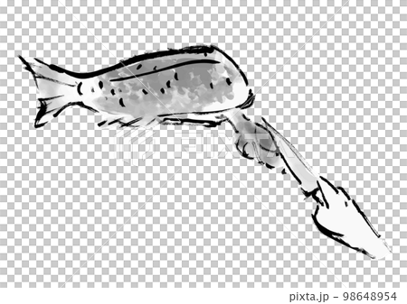 鯛をさばく工程の手描き和風イラスト　内蔵を出す　白黒,モノクロ,単色, ベクター 98648954