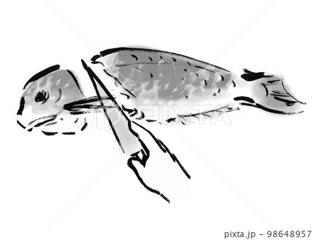 鯛をさばいているの手描き和風イラスト　白黒,モノクロ,単色, ベクター 98648957