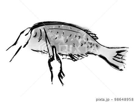 鯛をさばいているの手描き和風イラスト 白黒,モノクロ,単色, ベクター 鯛をさばいているの手描き和風イラスト 白黒,モノクロ,単色, ベクター 98648958