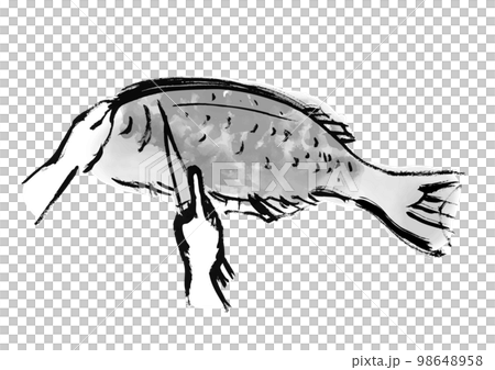 海鯛被切割的手繪日式插圖黑白,單色,單色,矢量 海鯛被切割的手繪日式插圖黑白,單色,單色,矢量 98648958
