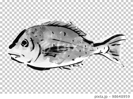 手繪日式插圖海鯛黑白、單色、單色、矢量 手繪日式插圖海鯛黑白、單色、單色、矢量 98648959