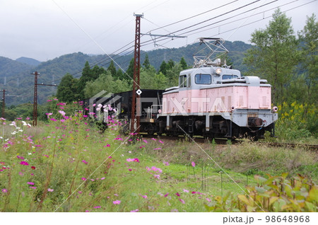 富山地方鉄道 横江付近 工事列車とコスモス 98648968