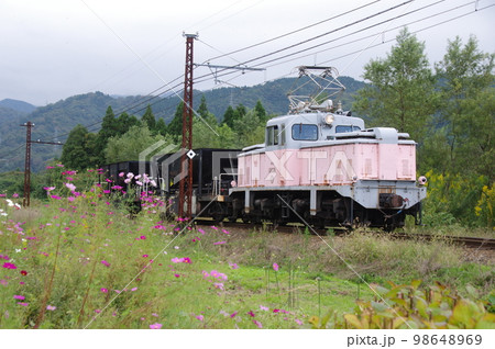 富山地方鉄道 横江付近 工事列車とコスモス 98648969