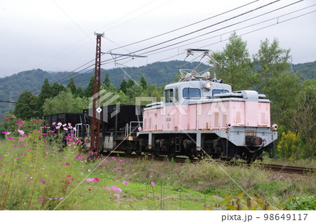 富山地方鉄道 横江付近 工事列車とコスモス 富山地方鉄道 横江付近 工事列車とコスモス 98649117