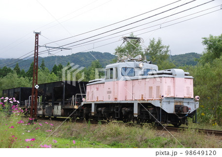 富山地方鉄道 横江付近 工事列車とコスモス 富山地方鉄道 横江付近 工事列車とコスモス 98649120