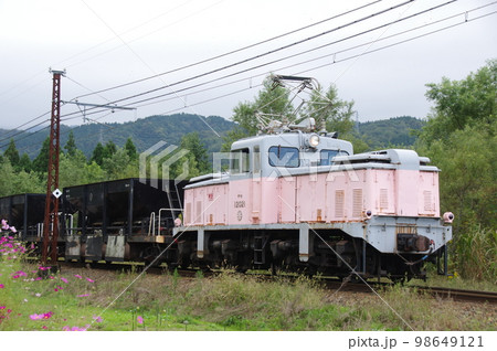 富山地方鉄道 横江付近 工事列車とコスモス 富山地方鉄道 横江付近 工事列車とコスモス 98649121