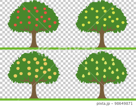 果樹 2 果樹 2 98649871