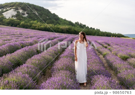 Close up portrait of happy young brunette woman in white dress on blooming fragrant lavender fields with endless rows. Warm sunset light. Bushes of lavender purple aromatic flowers on lavender fields. Close up portrait of happy young brunette woman in white dress on blooming fragrant lavender fields with endless rows. Warm sunset light. Bushes of lavender purple aromatic flowers on lavender fields. 98650763