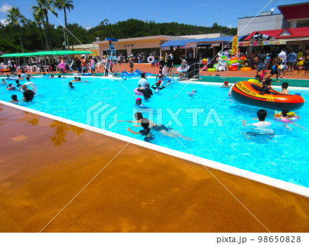 宮崎県宮崎市フェニックス自然動物園 98650828