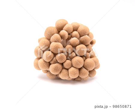 Brown shimeji mushroom isolated on white background. Brown shimeji mushroom isolated on white background. 98650871