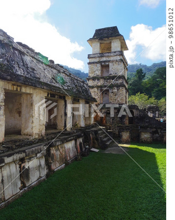 世界遺産 メキシコ合衆国 パレンケ 遺跡15 世界遺産 メキシコ合衆国 パレンケ 遺跡15 98651012