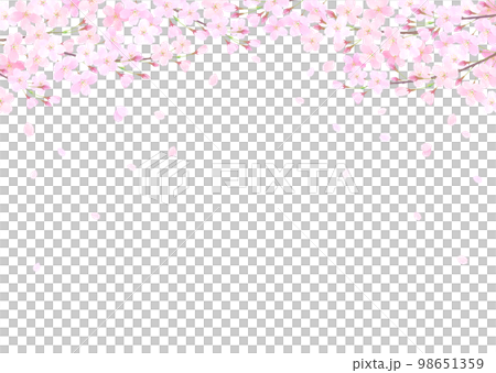 白色背景櫻花水彩觸摸的向量圖背景 98651359
