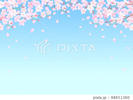 青空と桜の水彩タッチのベクターイラスト背景 98651360