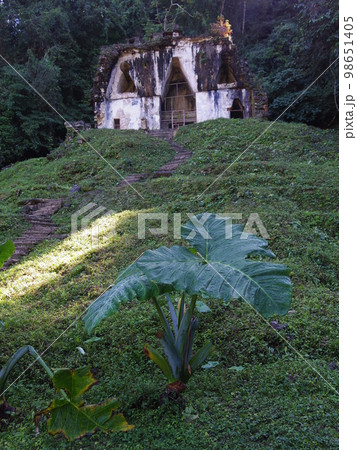世界遺産 メキシコ合衆国 パレンケ 遺跡34 世界遺産 メキシコ合衆国 パレンケ 遺跡34 98651405