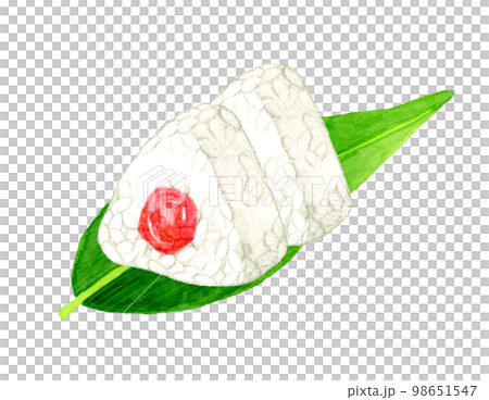 笹の葉に乗った梅おにぎり　和食の手描き水彩イラスト素材 98651547