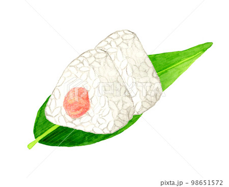 笹の葉に乗った明太子(たらこ)おにぎり 和食の手描き水彩イラスト素材 笹の葉に乗った明太子(たらこ)おにぎり 和食の手描き水彩イラスト素材 98651572