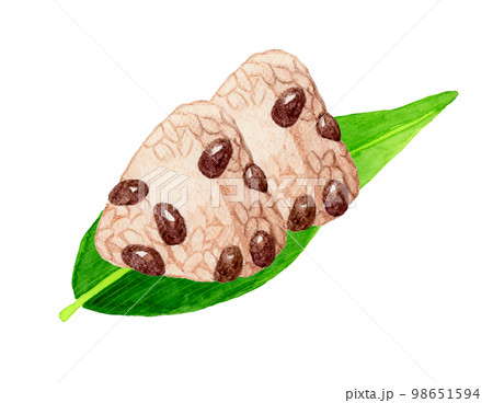 笹の葉に乗った赤飯おこわのおにぎり　和食の手描き水彩イラスト素材 98651594