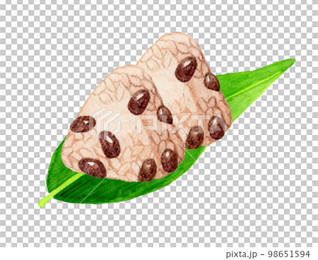 笹の葉に乗った赤飯おこわのおにぎり　和食の手描き水彩イラスト素材 98651594