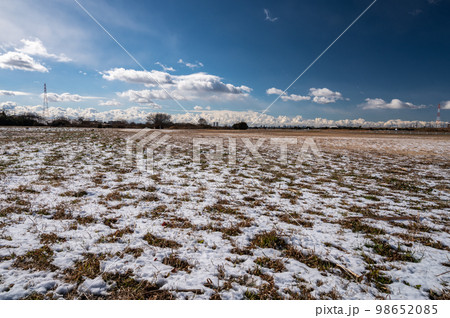 薄雪積もる淀川河川公園　枚方市 98652085