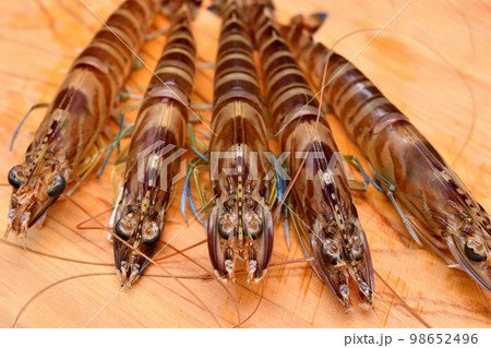 まな板の上の活車海老 まな板の上の活車海老 98652496