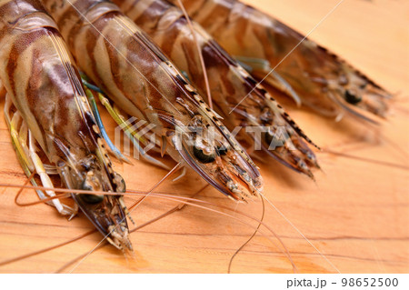 まな板の上の活車海老 まな板の上の活車海老 98652500