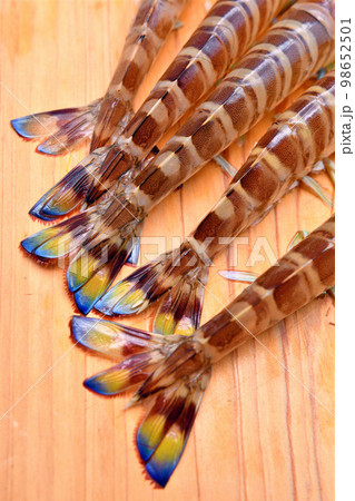 まな板の上の活車海老 98652501