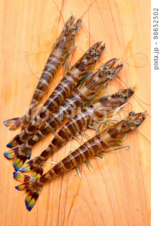 まな板の上の活車海老 98652502