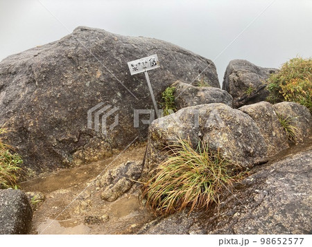 屋久島 モッチョム岳 山頂 屋久島 モッチョム岳 山頂 98652577