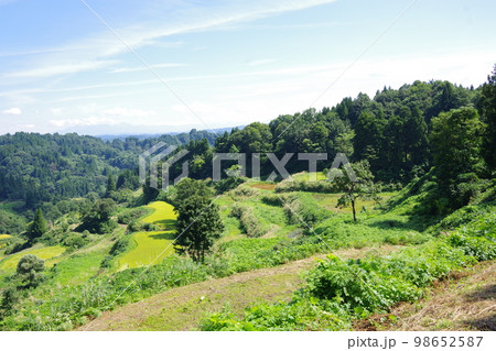 蒲生の棚田 98652587