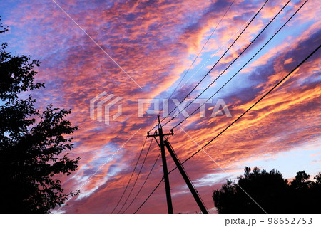 ピンクの夕焼け空 電柱 98652753