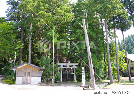 虫川の大杉 虫川の大杉 98653030
