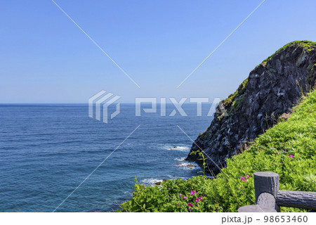 利尻島、鴛泊(おしどまり)の山と町と港 利尻島、鴛泊(おしどまり)の山と町と港 98653460