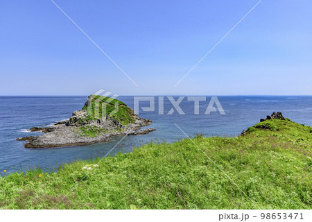 利尻島、鴛泊(おしどまり)の山と町と港 利尻島、鴛泊(おしどまり)の山と町と港 98653471