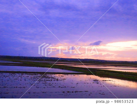 夕暮れの田んぼの風景 美しい 夕暮れの田んぼの風景 美しい 98653523