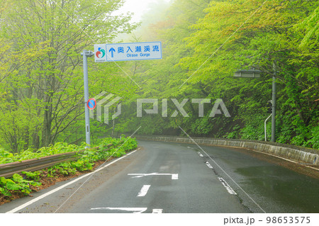 青森_奥入瀬渓流の風景 98653575