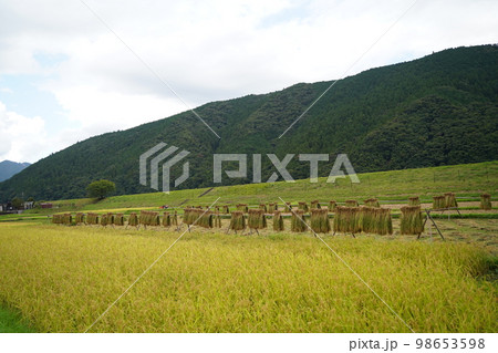 大斎原、おおゆのはら、おおさいばら、大鳥居、パワースポット、熊野川、音無川、岩田川、合流点、中洲、 大斎原、おおゆのはら、おおさいばら、大鳥居、パワースポット、熊野川、音無川、岩田川、合流点、中洲、 98653598