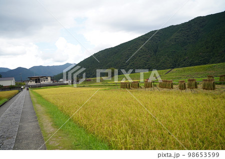大斎原、おおゆのはら、おおさいばら、大鳥居、パワースポット、熊野川、音無川、岩田川、合流点、中洲、  98653599