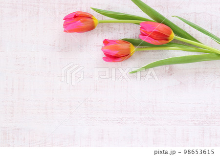 ボードに置いたチューリップ ボードに置いたチューリップ 98653615