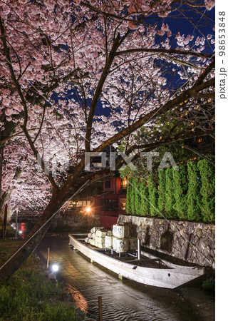 京都高瀬川 一之船入の夜桜と高瀬舟 京都高瀬川 一之船入の夜桜と高瀬舟 98653848