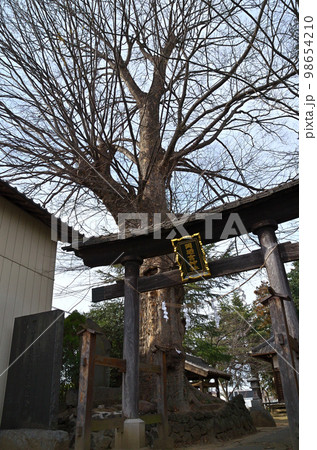 埼玉県深谷市のパワースポット 岡廼(おかのみや)神社 埼玉県深谷市のパワースポット 岡廼(おかのみや)神社 98654210