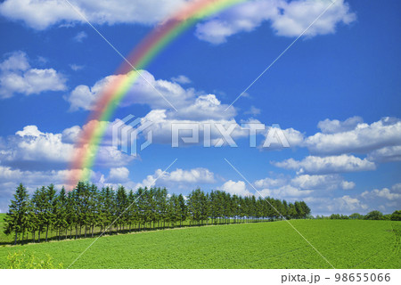 北海道の美しい田園風景 98655066