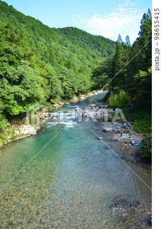 透き通る水と緑々しい木 98655415