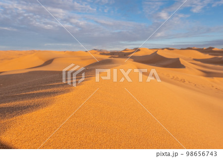The vast orange dunes of the Sahara desert and its barren vegetation The vast orange dunes of the Sahara desert and its barren vegetation 98656743
