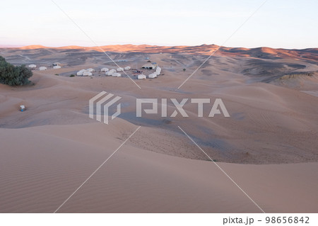 The vast orange dunes of the Sahara desert and its barren vegetation 98656842